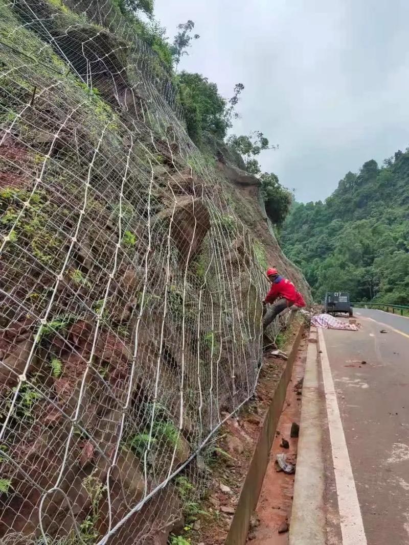 衡水桃城区边坡绿化防护